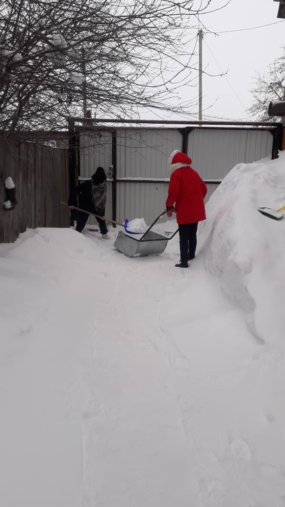 ❄️25 января, наши волонтёры провели акцию в рамках проекта « Желтые Обои»